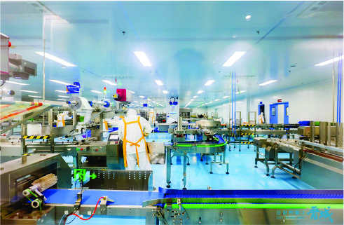 德国KUKA全自动机器人码垛