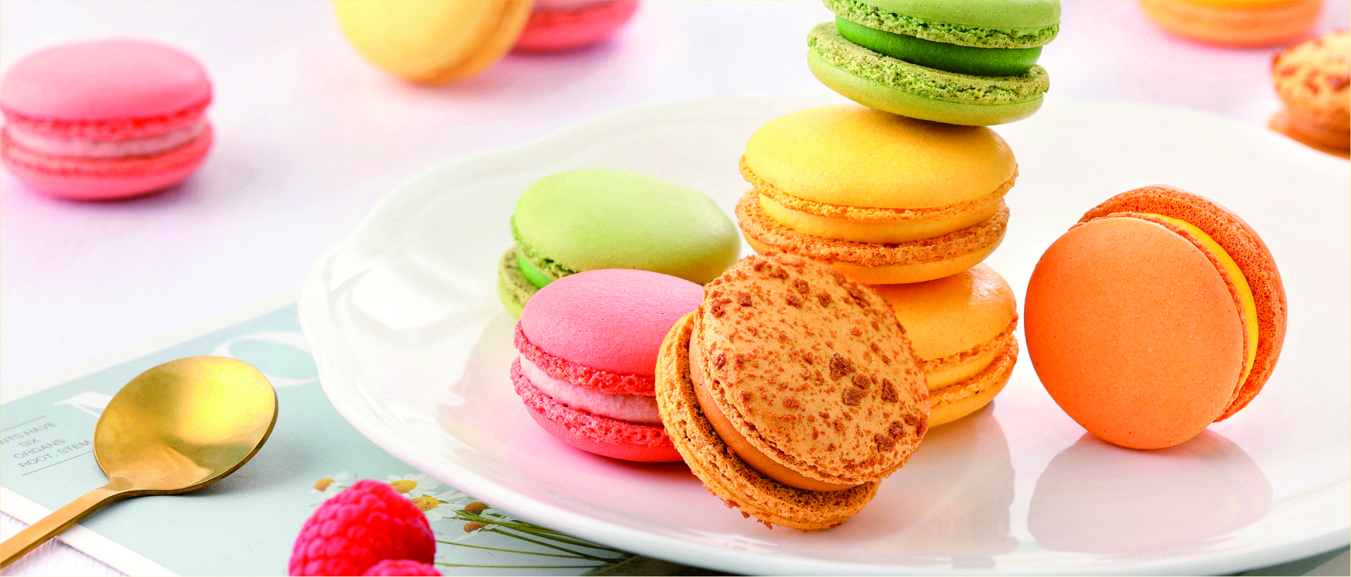 全国首家“冻转鲜”冷冻甜品企业